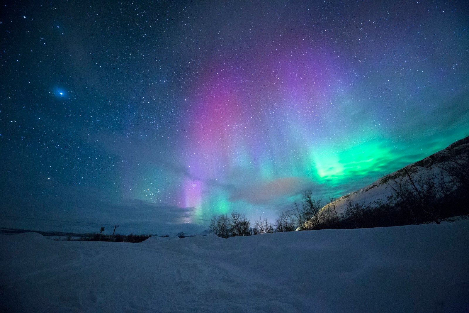 northern lights in lapland