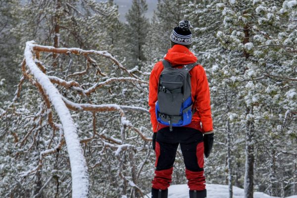 person standing watching tree during daytime